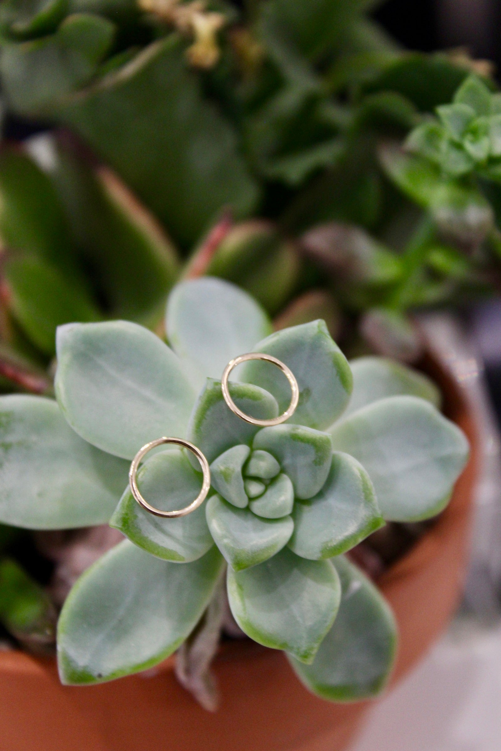 14K Gold Wire Circle Stud