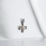 Zodiac Diamond Charm Necklace