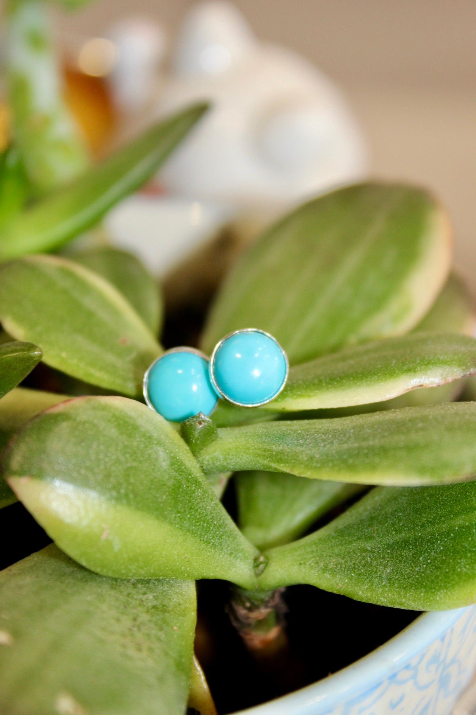 Kingman 8mm Turquoise Silver Studs
