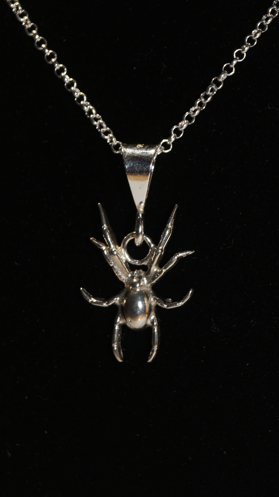 Spider Charm Necklace